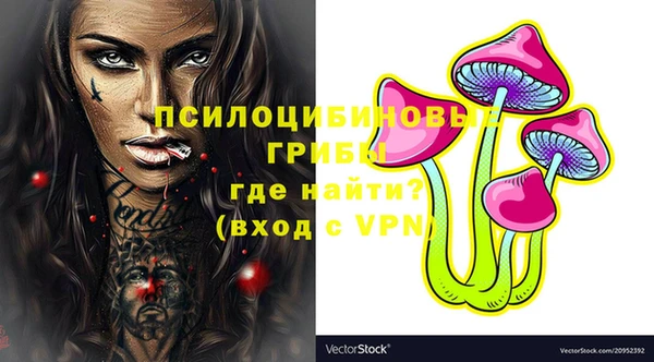 гашик Армянск
