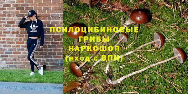 гашик Армянск