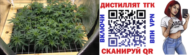 Дистиллят ТГК гашишное масло  где продают   Армянск 