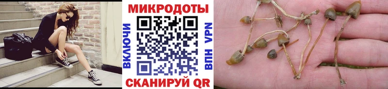 Псилоцибиновые грибы мухоморы Армянск
